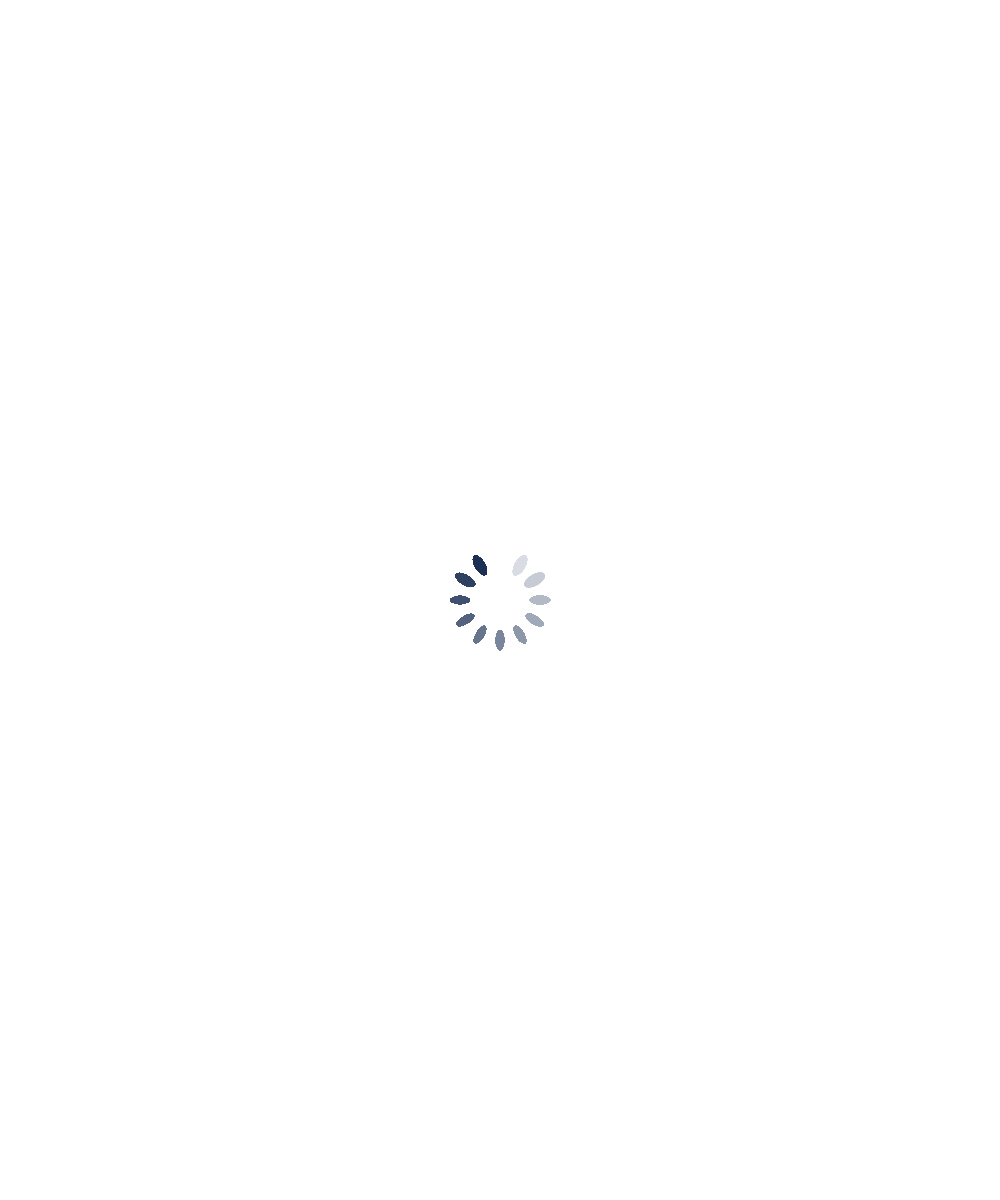 Deneb Integrated Report Cover